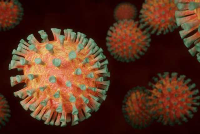 Coronavirus, in Puglia 13 nuovi casi: positivo lo 0,63% dei tamponi